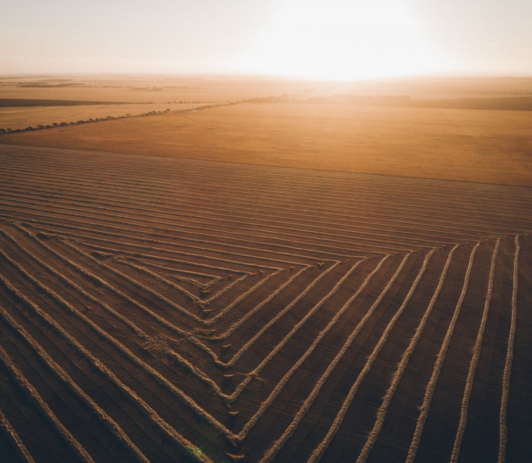 Brand Image Practice Pitch Desk Windrowed barley on a warm sunset 11343238 1 min