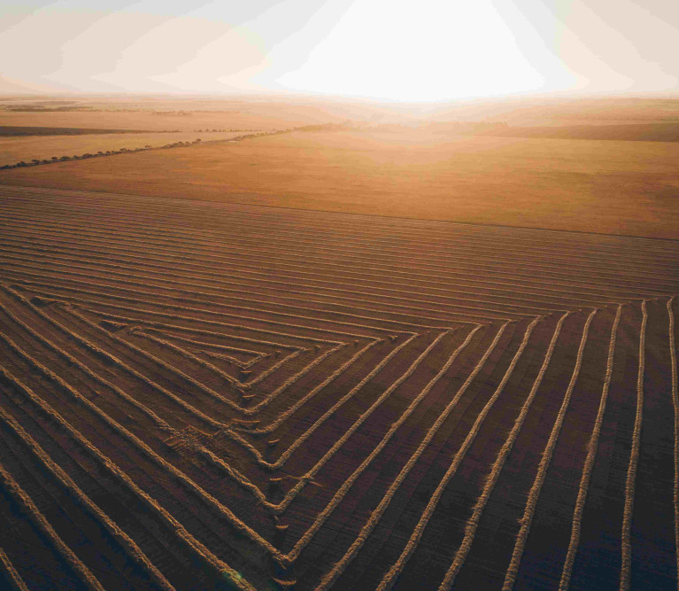 Brand Image Practice Pitch Desk Windrowed barley on a warm sunset 11343238 1 min