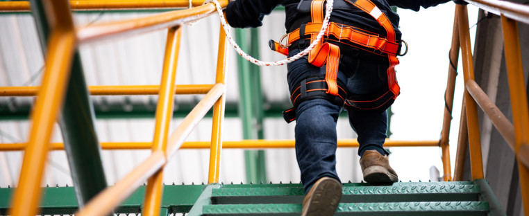 construction harness