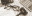 iStock 1366251789