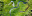 iStock 2040068423